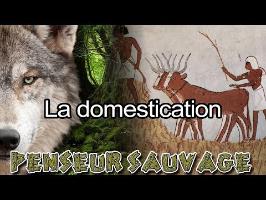 Humaniser les animaux | La domestication - [Animaux CH.2 EP.12]