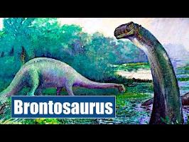 Brontosaurus - IRL