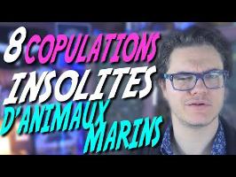CHRIS : 8 Copulations Insolites d'Animaux Marins