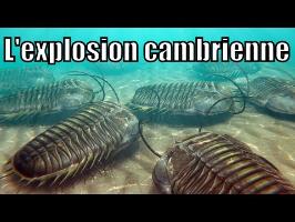 L'explosion cambrienne et les schistes de Burgess — Science étonnante #36