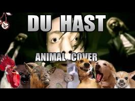 Rammstein - Du Hast (Animal Cover)