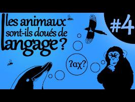 Les animaux sont-ils doués de langage? - Ma Langue dans Ta Poche #4