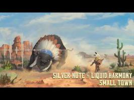 Silver Note & Liquid Harmony - Small Town