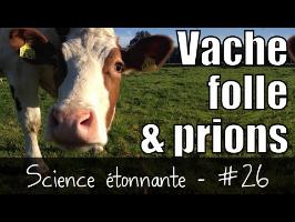 Vache folle & Prions — Science étonnante #26