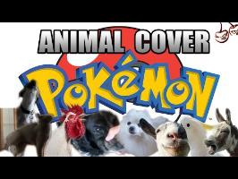 Pokemon Main Theme (Animal Cover)