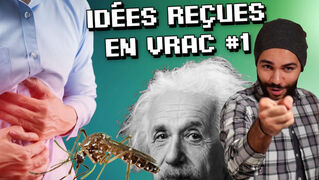 Einstein, Ulcères et Moustiques | VRAC #1